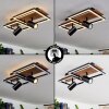 Sequeira Lampa Sufitowa LED Czarny, Biały, 3-punktowe
