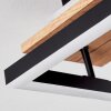 Sequeira Lampa Sufitowa LED Czarny, Biały, 3-punktowe