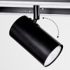 Sequeira Lampa Sufitowa LED Czarny, Biały, 3-punktowe