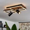 Sequeira Lampa Sufitowa LED Czarny, Biały, 3-punktowe