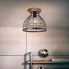 Brilliant Avia Lampa Sufitowa czarny, 1-punktowy