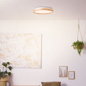 Brilliant Alson Lampa Sufitowa LED biały, 1-punktowy