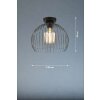 Fischer & Honsel Wire Lampa Sufitowa Czarny, 1-punktowy