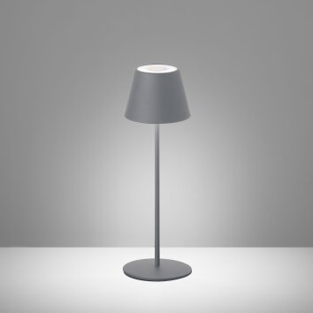 FHL easy Cosenza Lampa stołowa LED Szary, 1-punktowy, Zmieniacz kolorów