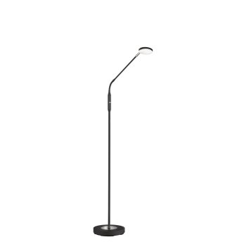 FHL easy Luna Lampa Stojąca LED Czarny, 1-punktowy