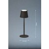 FHL easy Tropea lampka nocna LED Czarny, 1-punktowy