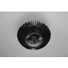 Trio Colino Lampa Sufitowa Czarny, 2-punktowe