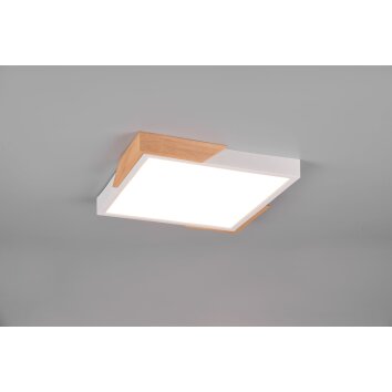 Reality Meta Lampa Sufitowa LED Biały, 1-punktowy