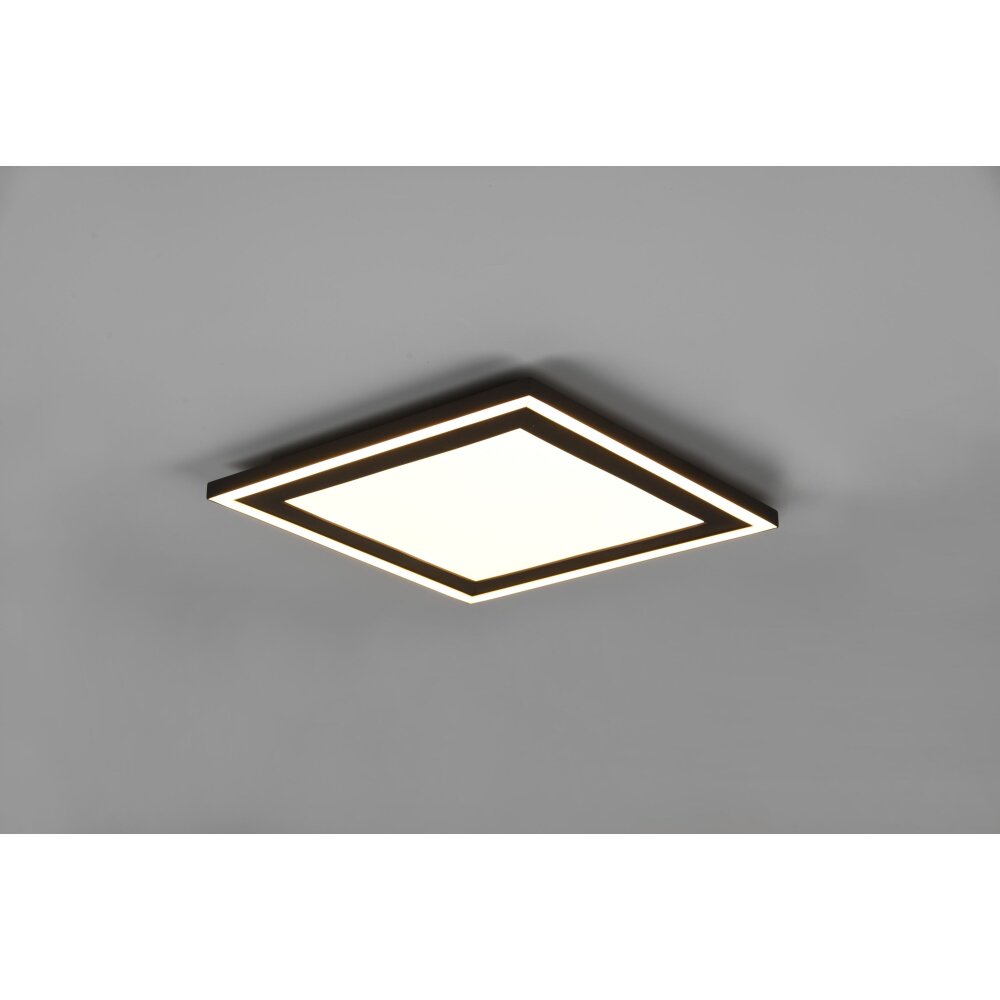 Reality Carus Lampa Sufitowa LED Czarny, 1-punktowy main product photo