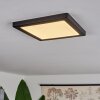 Canditas Lampa Sufitowa LED Czarny, 1-punktowy