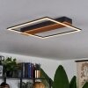 Courceaux Lampa Sufitowa LED Ecru, Czarny, 1-punktowy