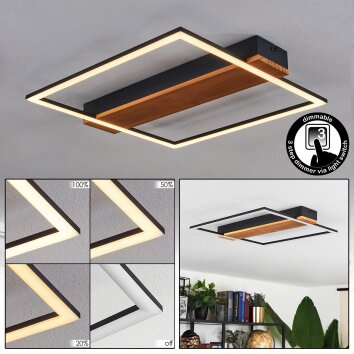 Courceaux Lampa Sufitowa LED kolory naturalne, czarny, 1-punktowy