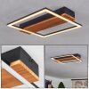 Courceaux Lampa Sufitowa LED kolory naturalne, czarny, 1-punktowy