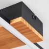 Courceaux Lampa Sufitowa LED kolory naturalne, czarny, 1-punktowy