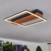 Courceaux Lampa Sufitowa LED kolory naturalne, czarny, 1-punktowy