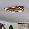 Courceaux Lampa Sufitowa LED kolory naturalne, czarny, 1-punktowy