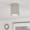 Stettler Lampa Sufitowa Szary, 1-punktowy