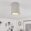 Stettler Lampa Sufitowa Szary, 1-punktowy