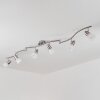 Chapod Lampa Sufitowa LED Chrom, Nikiel matowy, 6-punktowe