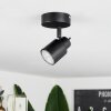 Nestavel Lampa Sufitowa LED Czarny, 1-punktowy