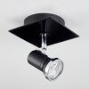 Lanrigan Lampa Sufitowa LED Chrom, Czarny, 1-punktowy