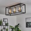 Verbania Lampa Sufitowa czarny, 3-punktowe