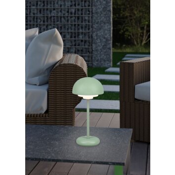 Reality Elliot Lampa stołowa LED Zielony, 1-punktowy