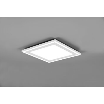 Reality Carus Lampa Sufitowa LED Biały, 2-punktowe