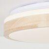 Brilliant Brodsky Lampa Sufitowa LED Brązowy, Biały, 1-punktowy