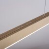 Paul Neuhaus PURE-MOTO Lampa Wisząca LED Mosiądz, 3-punktowe, Zdalne sterowanie