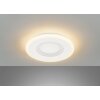 Fischer & Honsel Bolia Lampa Sufitowa LED Biały, 1-punktowy, Zdalne sterowanie