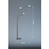 Fischer & Honsel Dent Lampa Stojąca LED Czarny, 5-punktowe
