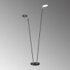 Fischer & Honsel Dent Lampa Stojąca LED Czarny, 2-punktowe