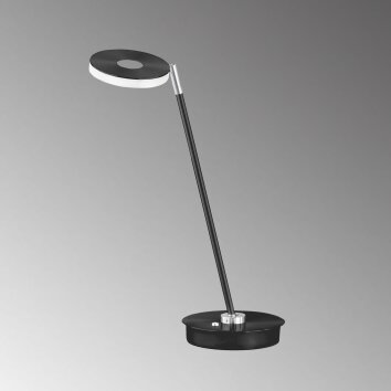 Fischer & Honsel Dent lampka nocna LED Czarny, 1-punktowy