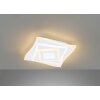 Fischer & Honsel Hero Lampa Sufitowa LED Biały, 1-punktowy, Zdalne sterowanie