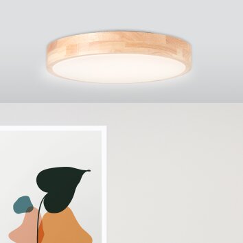 Brilliant Moreen Lampa Sufitowa LED Biały, 1-punktowy