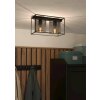 Eglo CATTERICK Lampa Sufitowa Czarny, 2-punktowe