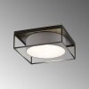 Fischer & Honsel Carre Lampa Sufitowa Czarny, 4-punktowe