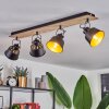 Safari Lampa Sufitowa Chrom, Jasne drewno, Czarny, 4-punktowe