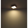 Globo CINDERELLA Lampa Sufitowa LED Wygląd drewna, Biały, 1-punktowy
