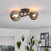 Chehalis Lampa Sufitowa LED Czarny, 2-punktowe