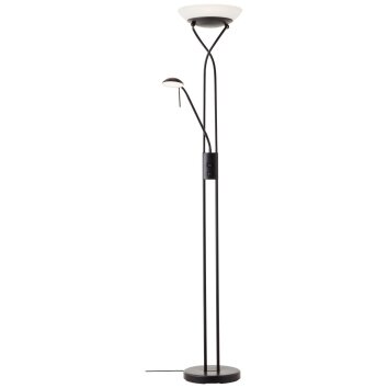 Brilliant Ollie Lampa Stojąca LED Czarny, 1-punktowy