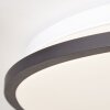 Brilliant Heida Lampa Sufitowa LED Biały, 1-punktowy, Zdalne sterowanie