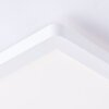 Brilliant Milton Lampa Sufitowa LED Biały, 1-punktowy