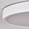 Pontchardon Lampa Sufitowa LED Biały, 1-punktowy