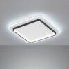 Fischer & Honsel Blithe Lampa Sufitowa LED Czarny, Biały, 1-punktowy