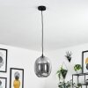 Augicourt Lampa Wisząca Czarny, 1-punktowy Augicourt Lampa Wisząca Czarny, 1-punktowy