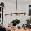 Zuoz Lampa Wisząca Stary mosiądz, 6-punktowe Zuoz Lampa Wisząca Stary mosiądz, 6-punktowe