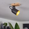 Vergoignan Lampa Sufitowa Ecru, Czarny, 1-punktowy