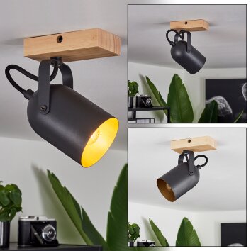 Vergoignan Lampa Sufitowa Ecru, Czarny, 1-punktowy